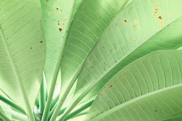 Similar image 8382988