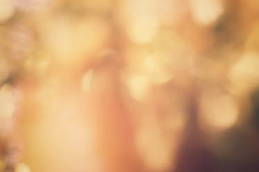 Similar image 8383012