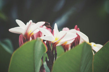 Similar image 8383016