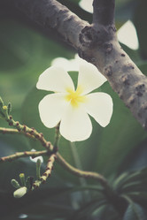 Similar image 8383017