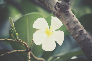 Similar image 8383018