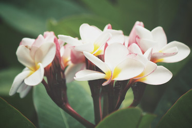 Similar image 8383020