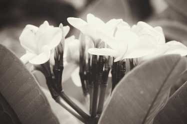 Similar image 8383021