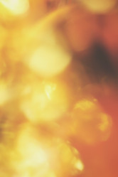 Similar image 8383029