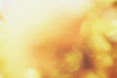 Similar image 8383037