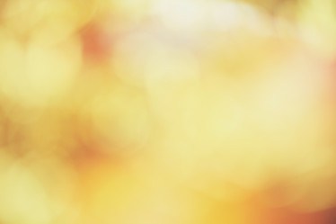 Similar image 8383059