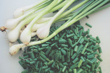 Similar image 8383120