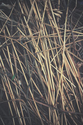 Similar image 8383124