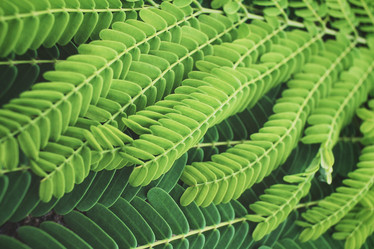 Similar image 8383212