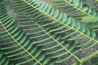 Similar image 8383213