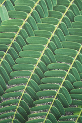 Similar image 8383215