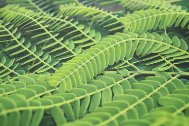 Similar image 8383216