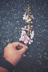 Similar image 8383218