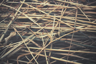 Similar image 8383221