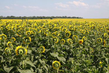 Similar image 8383233