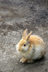 Similar image 8383235