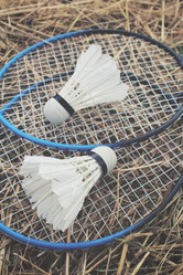 Similar image 8383271