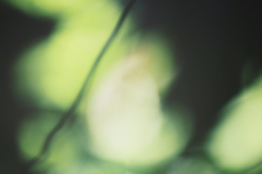 Similar image 8383289