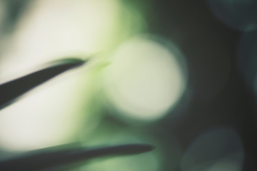 Similar image 8383290