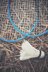 Similar image 8383296