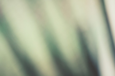 Similar image 8383303