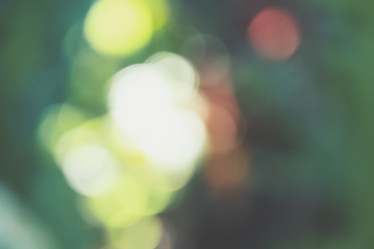 Similar image 8383304