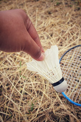 Similar image 8383306