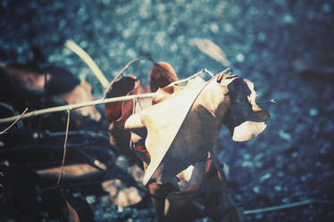 Similar image 8383316