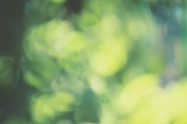 Similar image 8383320