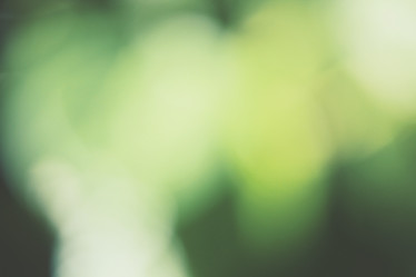 Similar image 8383321