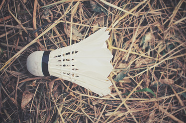 Similar image 8383322