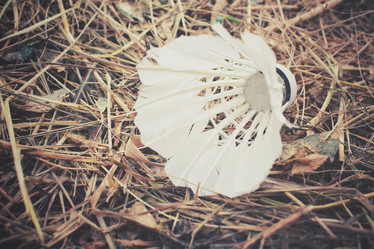 Similar image 8383323