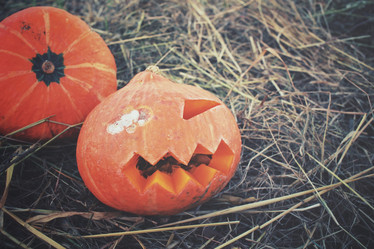 Similar image 8383328