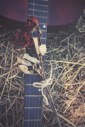 Similar image 8383329