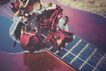 Similar image 8383330