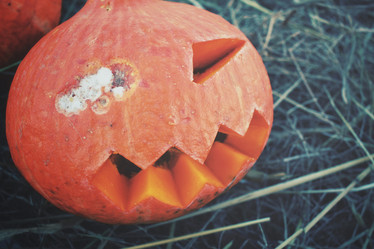 Similar image 8383351