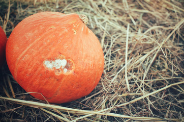 Similar image 8383352