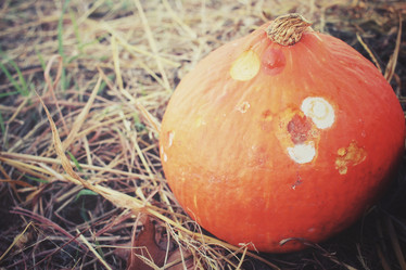 Similar image 8383353