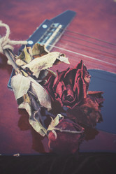 Similar image 8383356