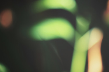 Similar image 8383359