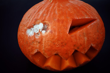 Similar image 8383364