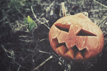 Similar image 8383365