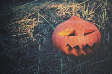 Similar image 8383369