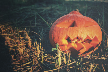 Similar image 8383370