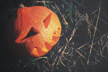 Similar image 8383382