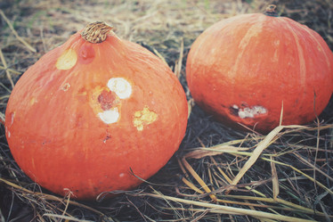 Similar image 8383385