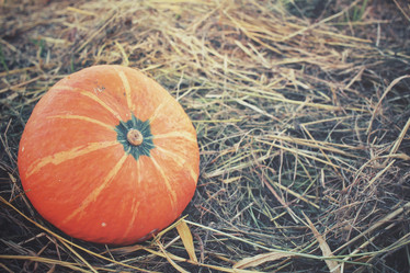 Similar image 8383386