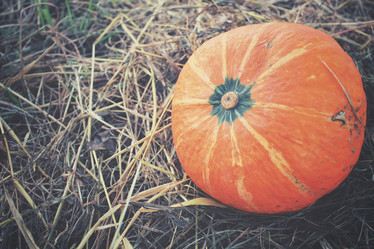 Similar image 8383387