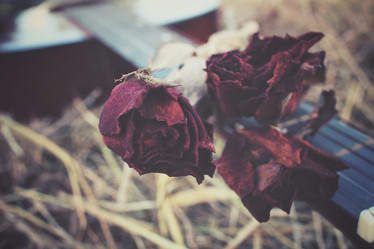 Similar image 8383393