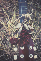 Similar image 8383394